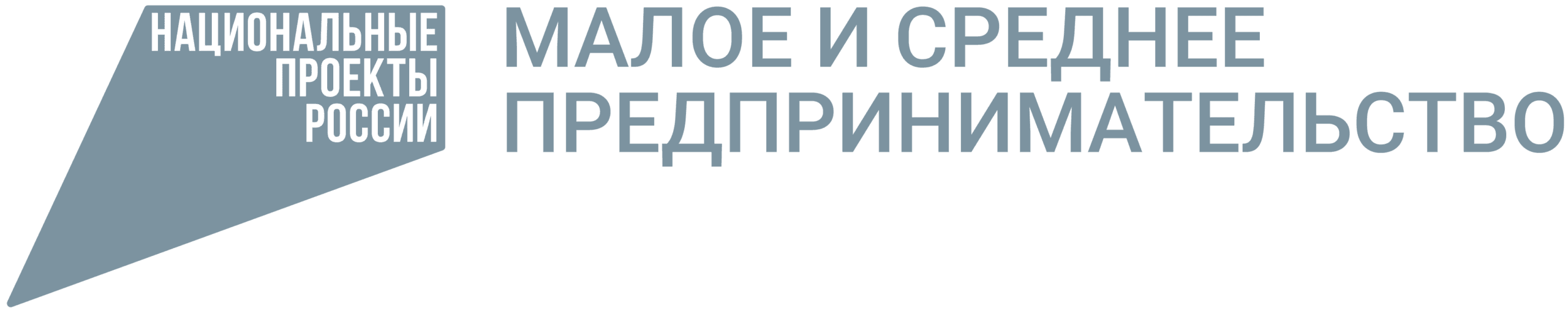 НацПроект МСП